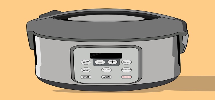 Thermomix vs Rice cooker