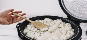 what does warm mean in rice cooker